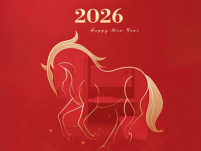 Friends, after a year of hard work, happy New Year!